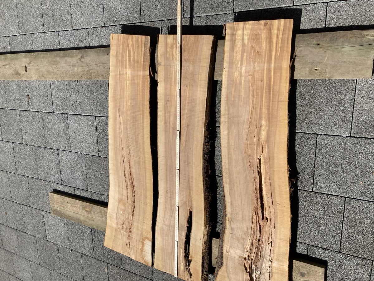 Articoli in legno: Apfelbaumbretter – Usato da Luthern Bad venduto da Peter686 1