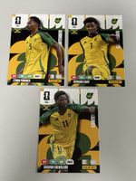Panini WM 26 - 531/532/534