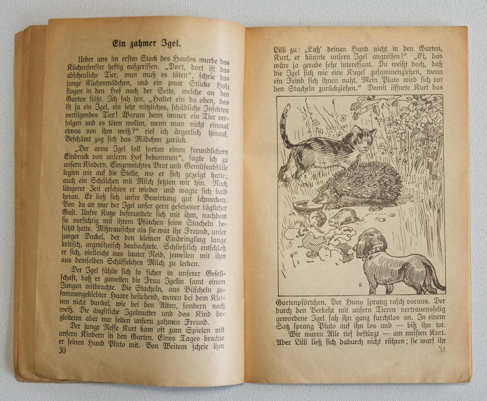 Zeitschriften & Magazine: Schweizerischer Tierschutz Kalender 1917 – Gebraucht aus Zürich von Melody2000 3