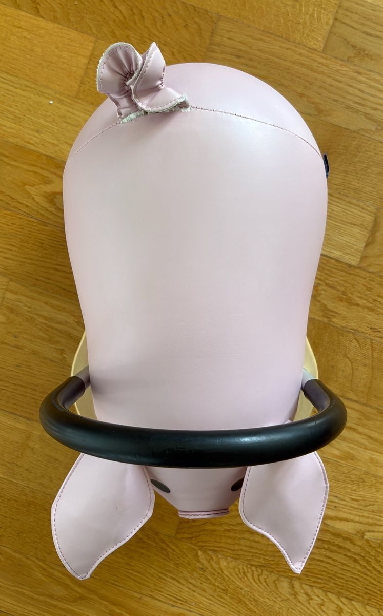 Veicoli per bambini: Wheely Bug Schweinchen – Usato da Wallisellen venduto da fab_kll7 2