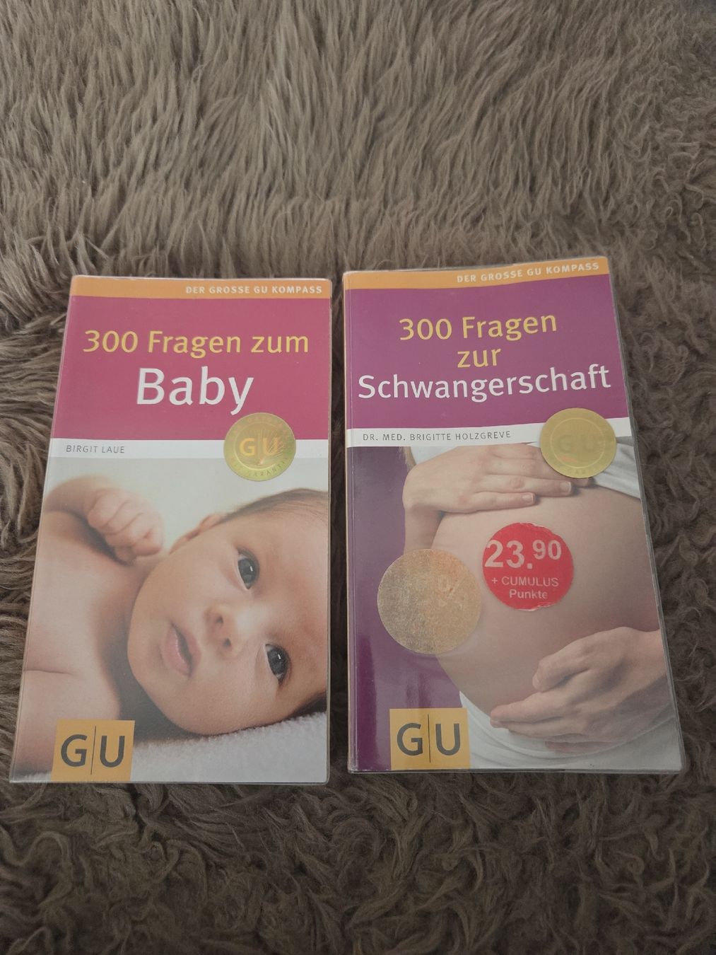 Livres: Bücher, Schwangerschaft – D'occasion à Birr par SonjaB84