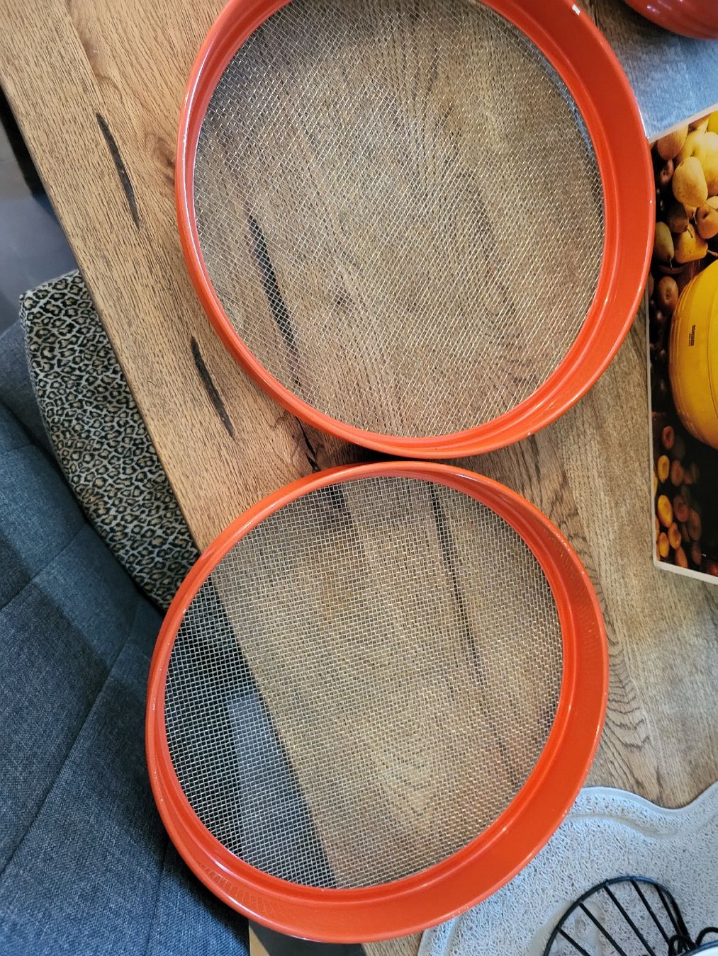 Sigg Elettrodomestici da cucina: Dörrex von Sigg – Usato da Gutenswil venduto da ghekko88 3