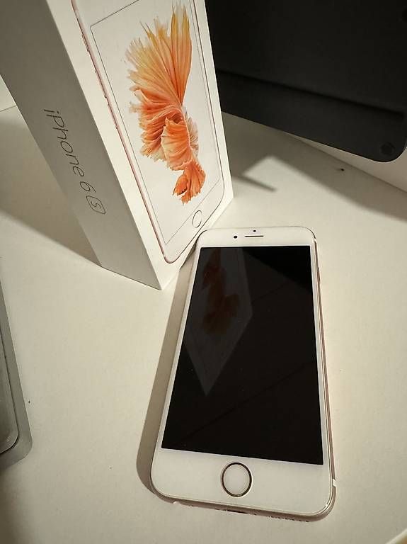 Apple Telefoni cellulari / Smartphones: iPhone 6S 64GB – Usato da Niederbipp venduto da Irusvirus