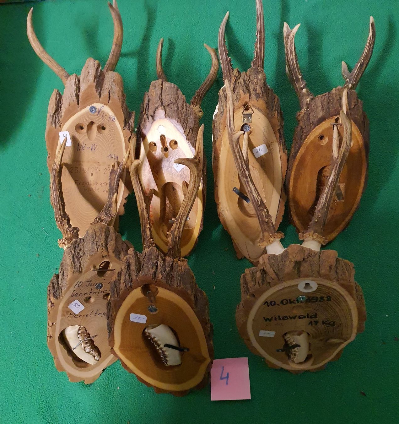 Altre raccolte & rarità: JAGD TROPHÄE Nr 4 7 STÜCK SEHR SCHÖN – Usato da Schönenwerd venduto da don1952 1
