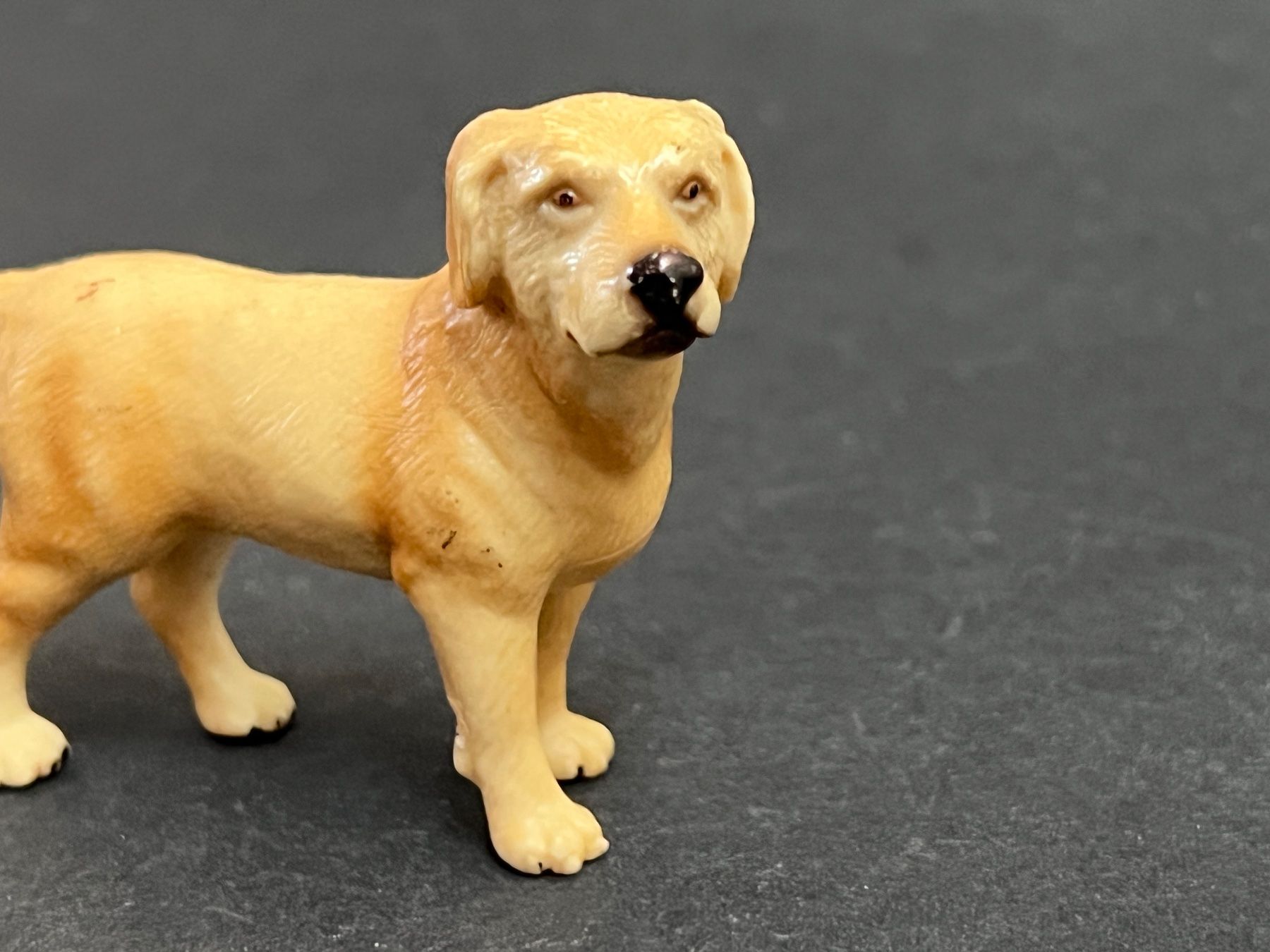 Schleich Figuren: Schleich 16329 - Labrador gelb Hund – Gebraucht aus Ennetbaden von mapa05 2