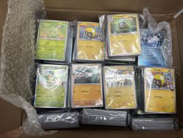 3.5 kg Pokemon Bulk Ascended Heroes Englisch