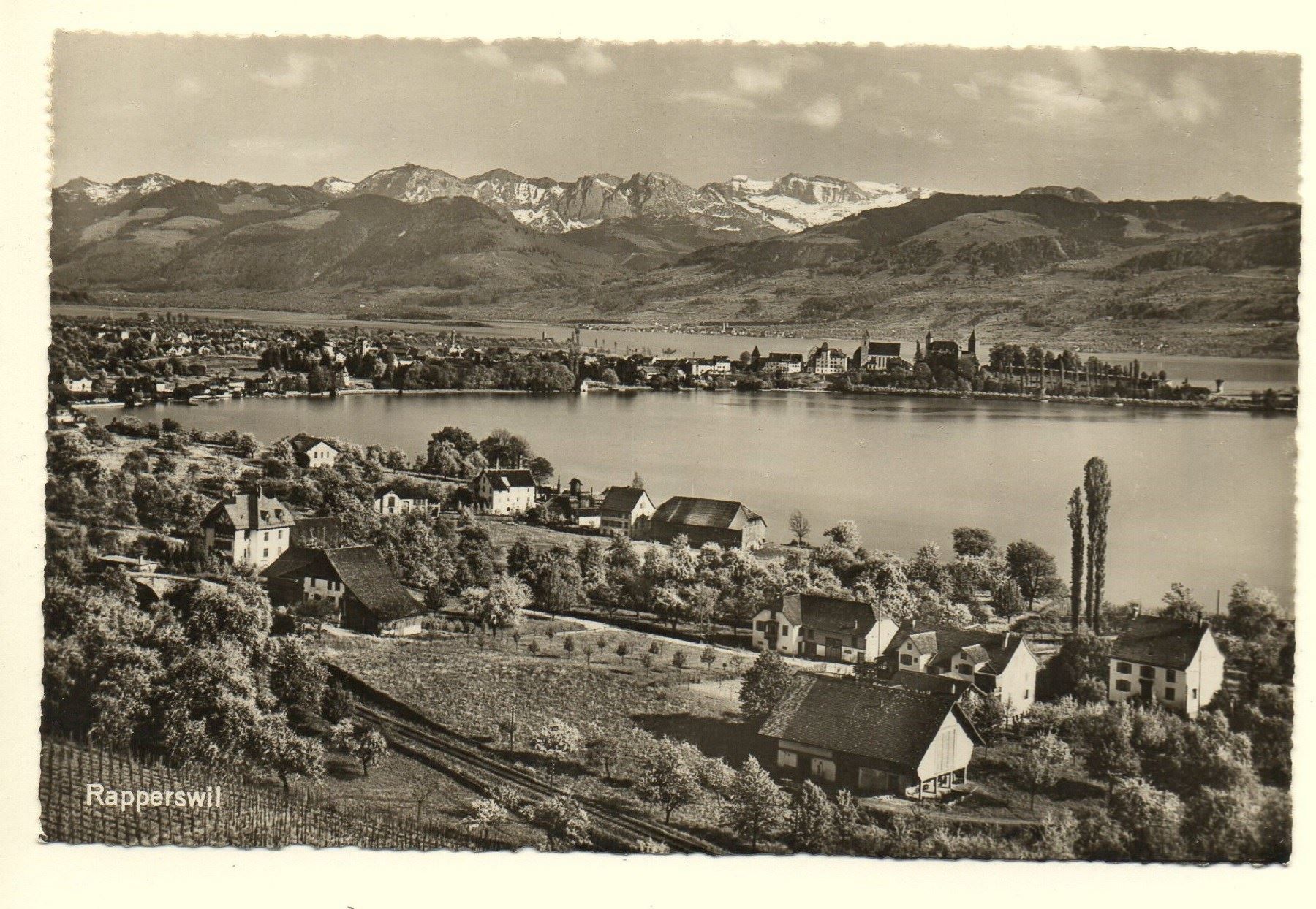 Ansichtskarten: RAPPERSWIL Feldbach 1947 gel. Bahnpost – Gebraucht aus Jona von philajona