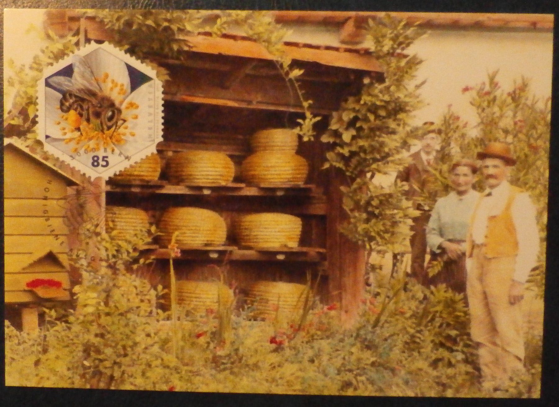 Cartoline postali: CH Korbbienenstand in Küttigen Postkarte – Usato da Kehrsatz venduto da Bernherb2