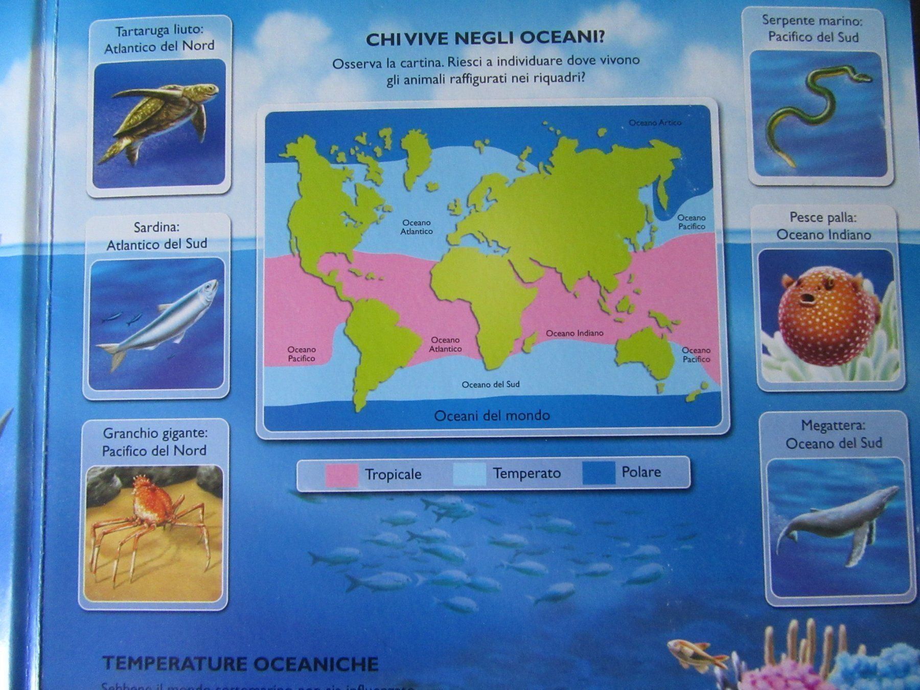 Libri: Pop - Up Buch Scenari 3D Oceani – Usato da Rüdtligen venduto da Carfield04 1