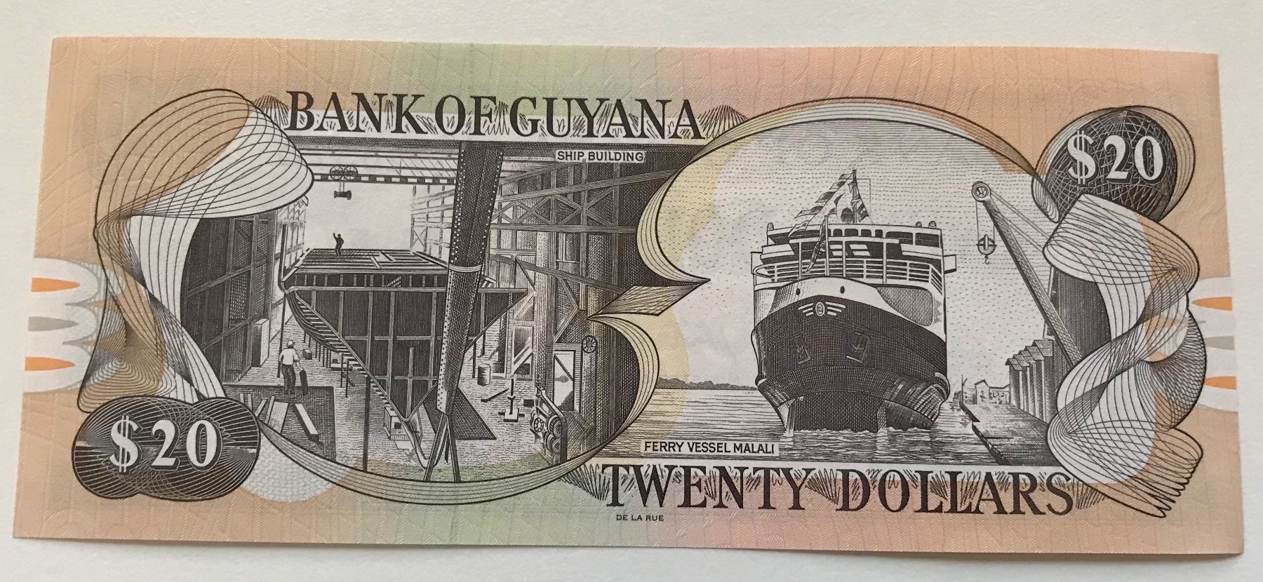 Banconote: Guyana 20 Dollars Neuwertig – Nuovo (secondo la descrizione) da Algetshausen venduto da Carrhard 1