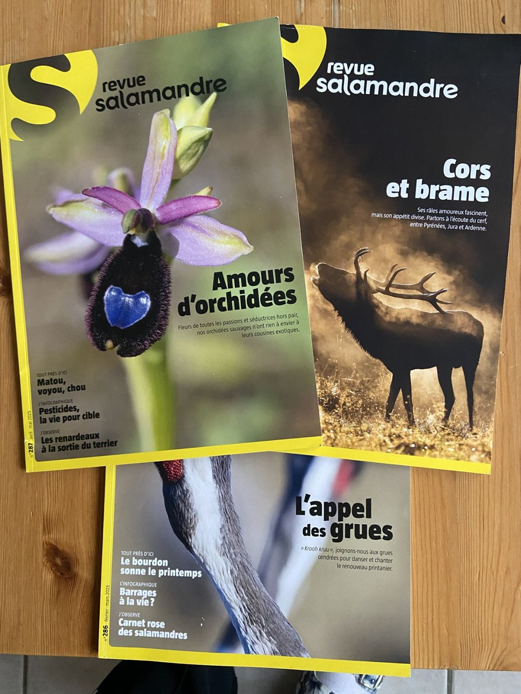 Riviste & Magazine: Revue Salamandre : Collection complète printemps en nature! – Nuovo (secondo la descrizione) da Neuchâtel venduto da marevecor