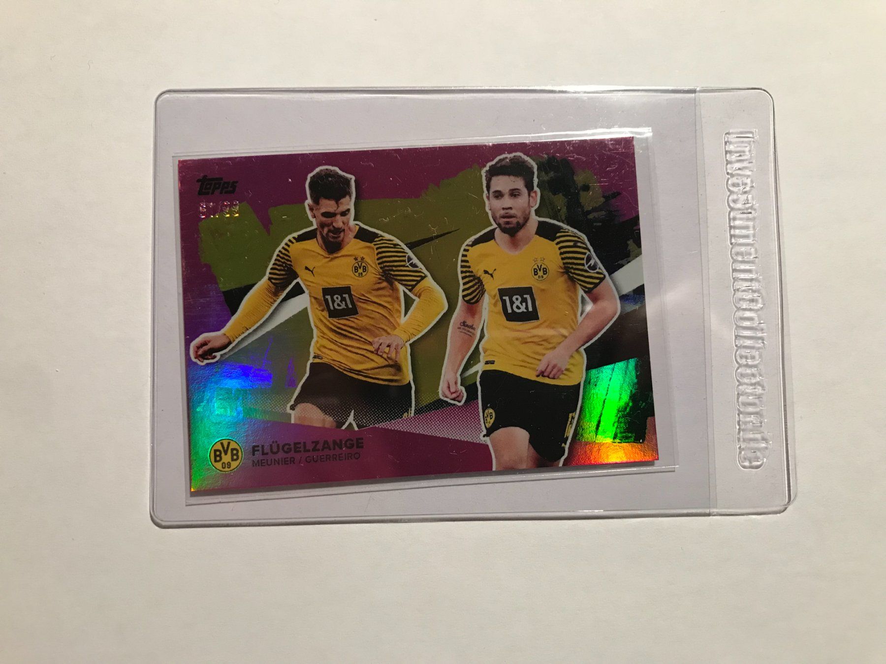 Panini Carte collezionabili: BVB Set Flügelzange holo 61/99 – Usato da Hagendorn venduto da Pokecollectorch