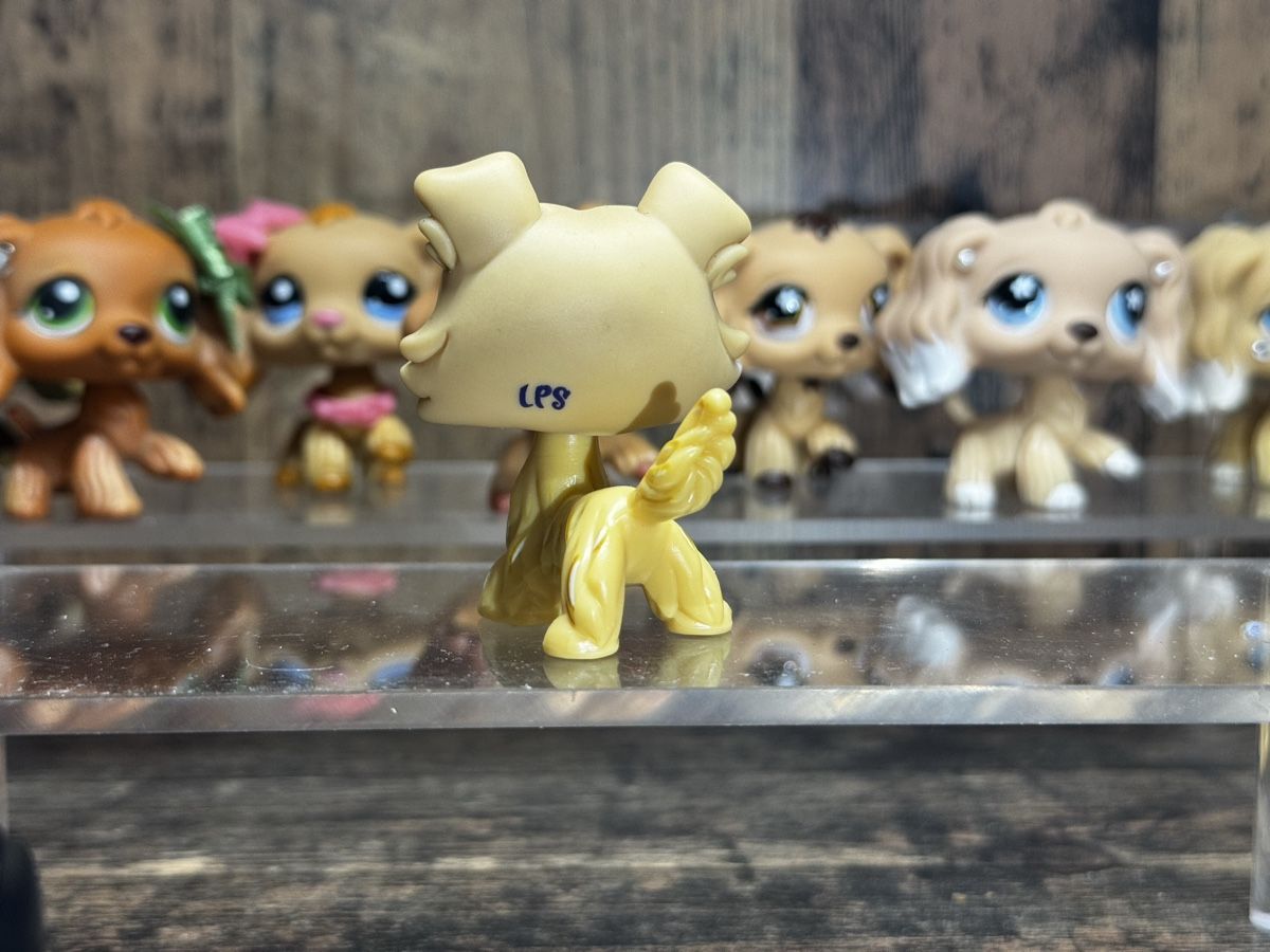 Hasbro Spielzeuge: Littlest pet shop Collie – Gebraucht aus Luzern von Maja.C 1