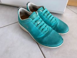 Geox 36