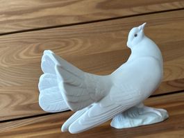 Taube Porzellanfigur Lladro