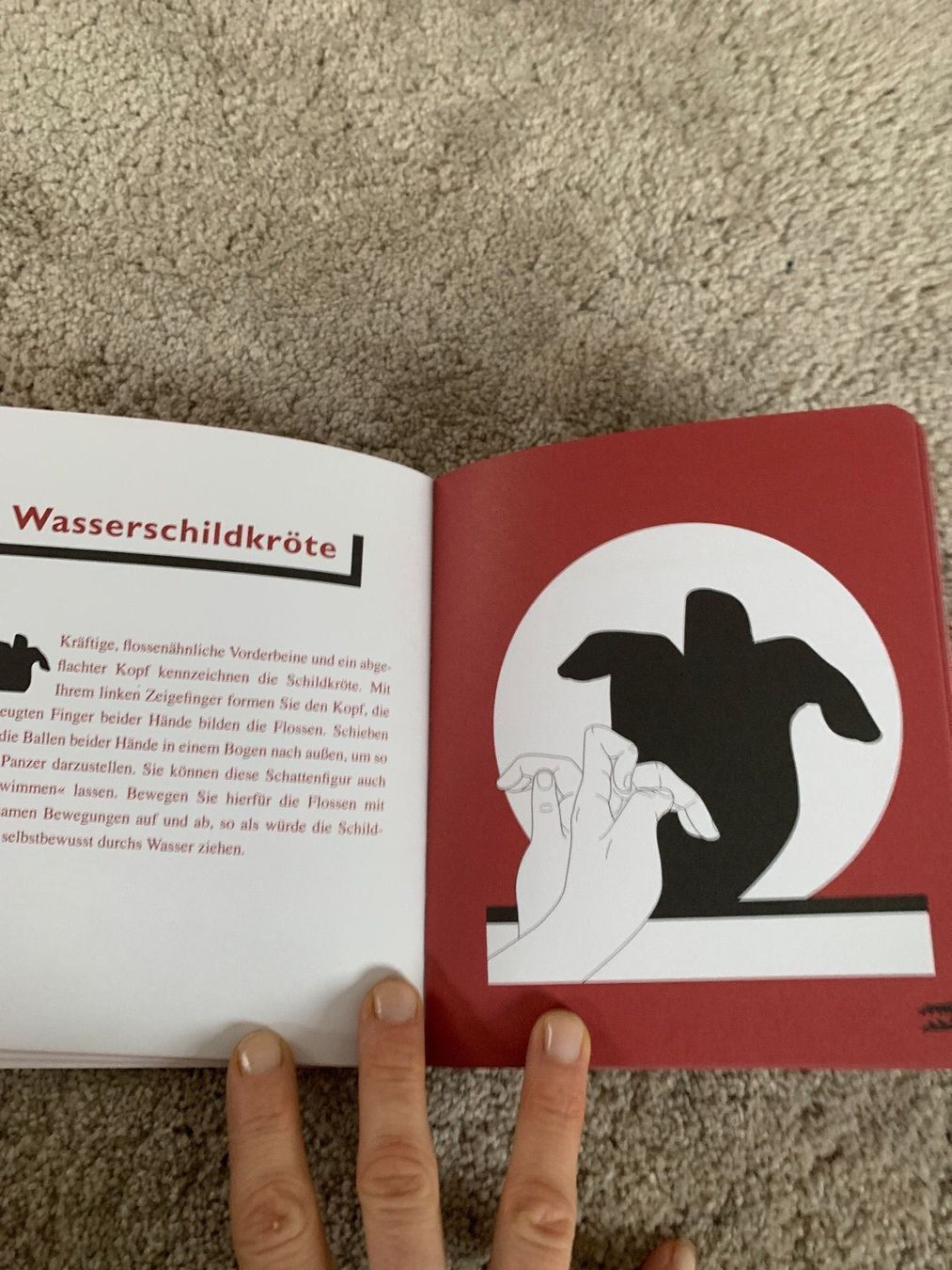 Libri: Buch Schattenfiguren  neu – Nuovo (secondo la descrizione) da Oberweningen venduto da Jogi2 2