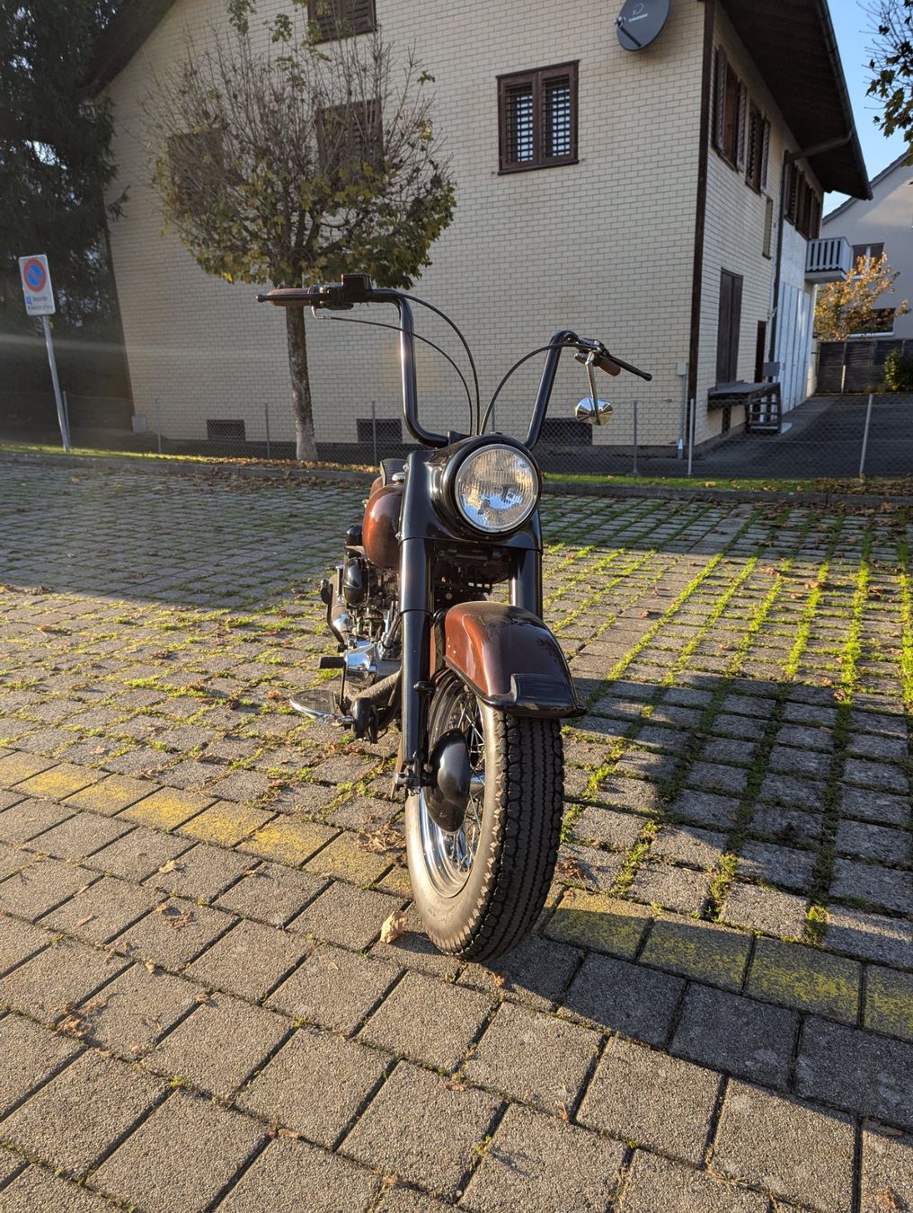 Harley-Davidson Chopper: Harley Davidson Shovelhead – Gebraucht aus Sursee von BODYROCK01 1