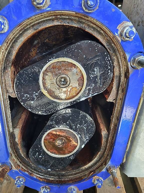 Pumpen & Teile: Vogelsang Pumpe – Gebraucht aus Giswil von Hans83 7