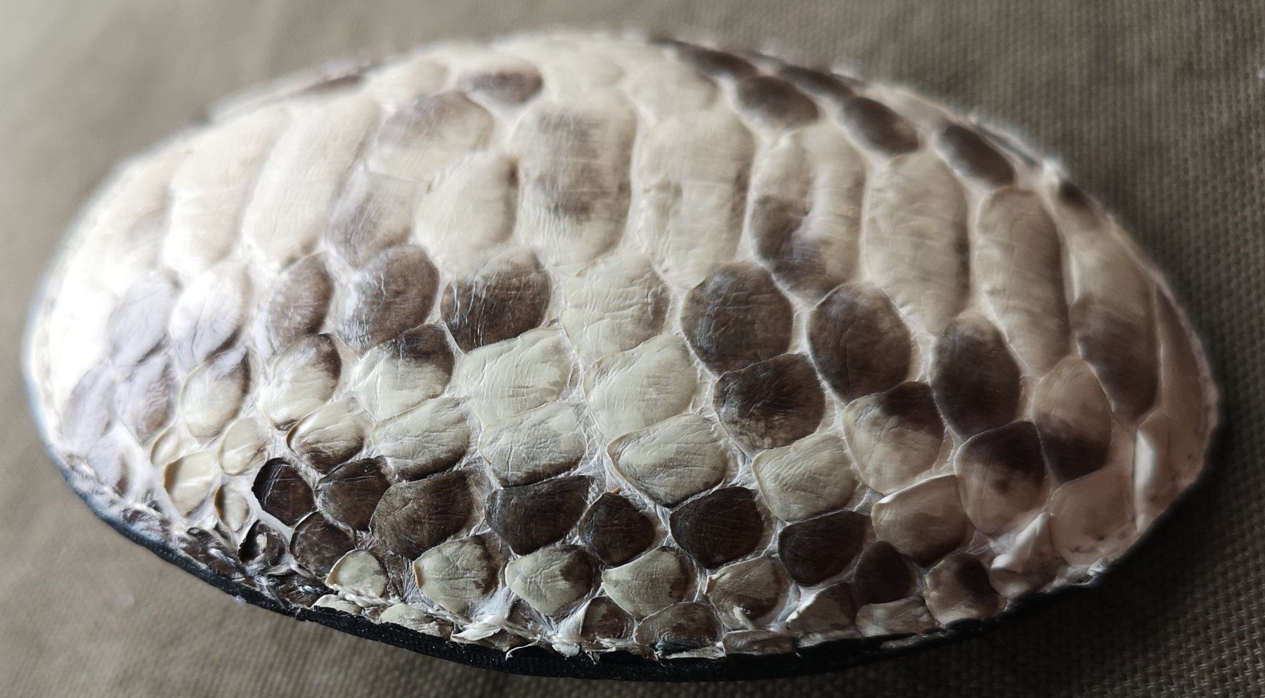 Fibbie per cinture: Ovale, konvexe Gürtelschnalle Schlangenhaut - Leder, Python – Usato da Zürich venduto da Tanteemma369 9