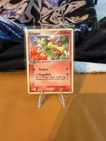 Jungglut / Combusken (RS 27) -  EX Rubin & Saphir / DE