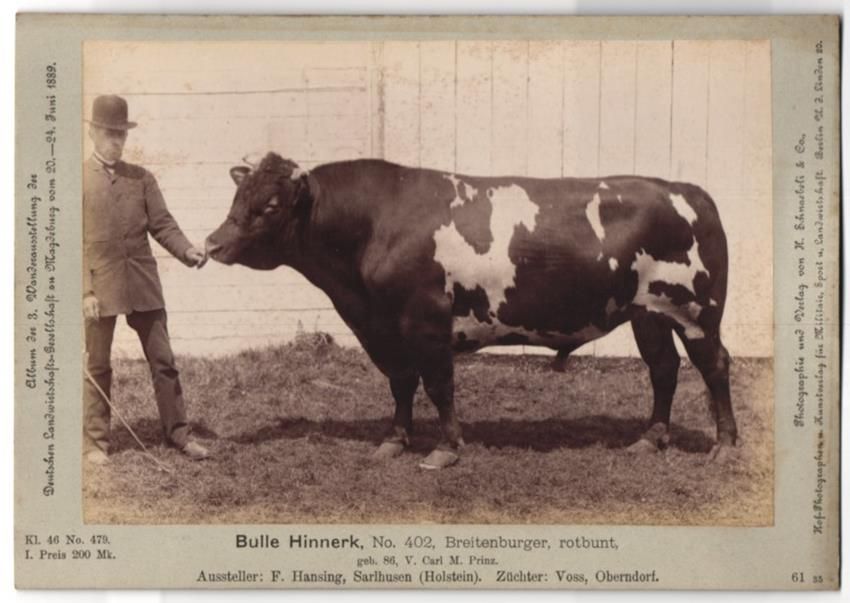 Fotografie & Manifesti: Fotografie H. Schnaebeli, Berlin, Ausste – Usato da Berlin venduto da bartko-reher