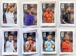 Panini Sticker Set (Coca Cola)