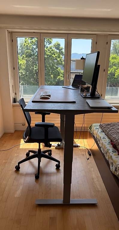 Scrivanie: Height Adjustable Electric Office Table – Usato da Zürich venduto da sha_dwv2