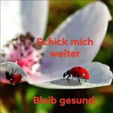 Profile image of muss-ich-haben-02