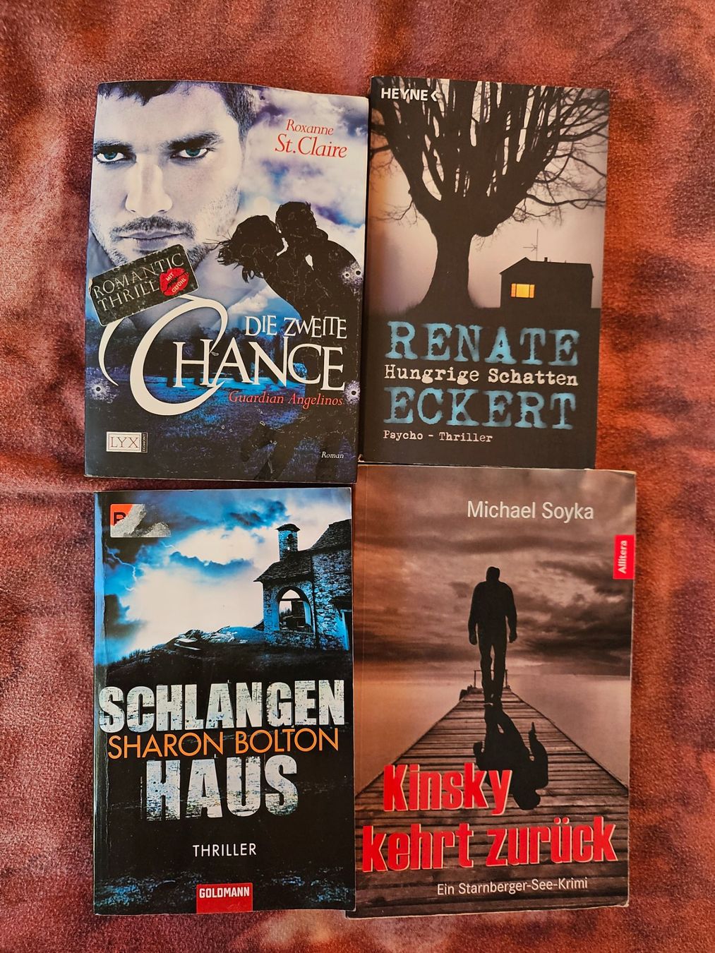Bücher: Bücherpaket: Thriller – Gebraucht aus Thun von Shame