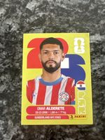 Panini Wm 2026 Par 7