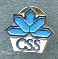 CSS  Logo