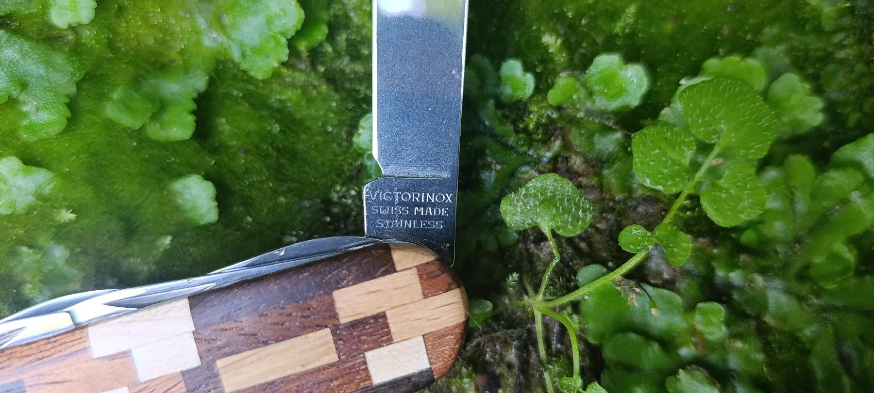 Victorinox Coltelli tascabile: Victorinox Taschenmesser  – Usato da Oppligen venduto da can_rf8g 3