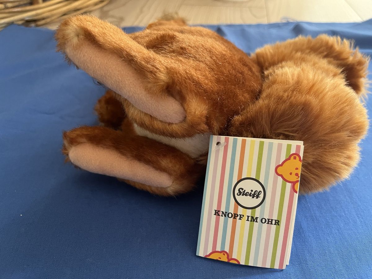 Steiff Giocattoli: Original Steiff Niki Eichhörnchen – Usato da Romanshorn venduto da Apfelschuss 2