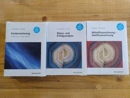 Kostenrechnung Bilanz- und Erfolgsanalyse Geldflussrechnung