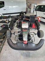 Corse Rennkart mit Iame Leopardmotor