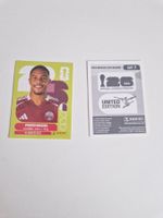 Panini Sticker QAT7
