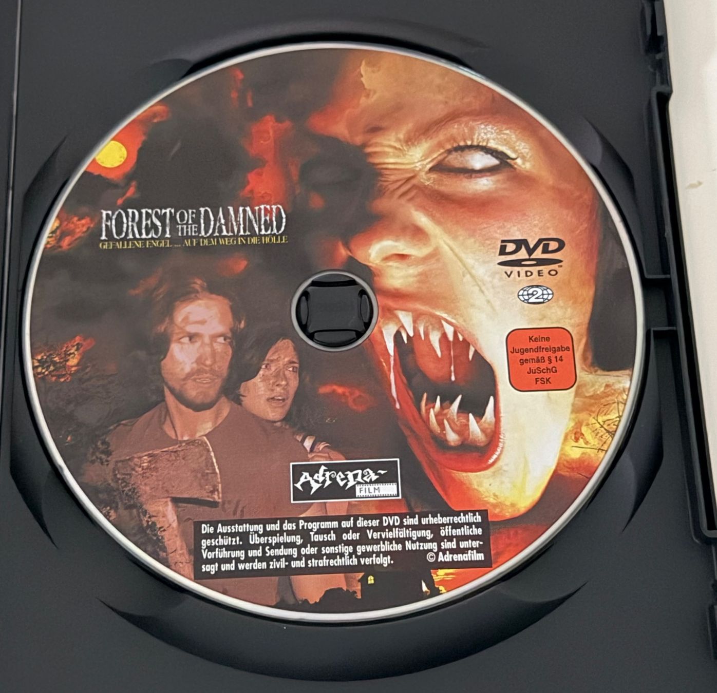 Tutti i DVDs: Forest of the Damned - uncut – Usato da Altstätten SG venduto da sheamus 2