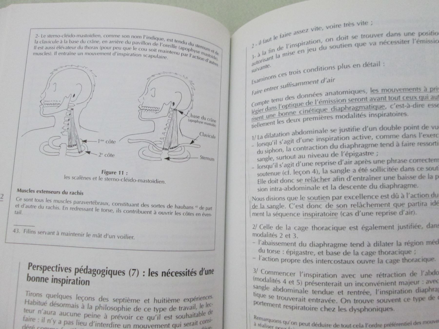 Bücher: A l'origine du son: le souffle – Gebraucht aus Neuchâtel von Dualseele 5