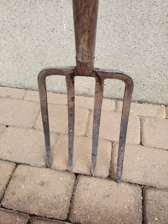 Grabgabel / Stechgabel mit Holzstiel 3