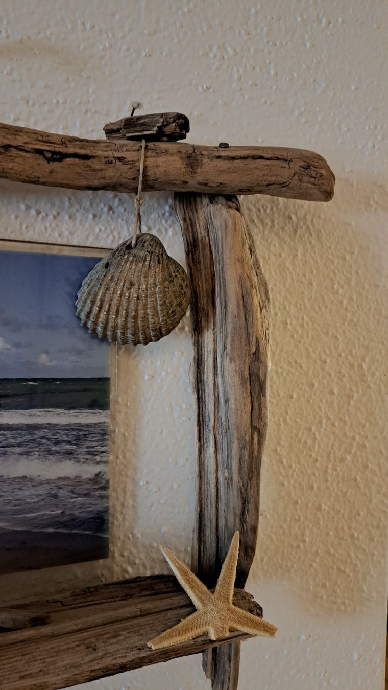 Foto & Immagini: Schwemmholzbilder – Usato da Kleindöttingen venduto da Strandgut88 5