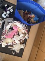 Diverse Stofftiere
