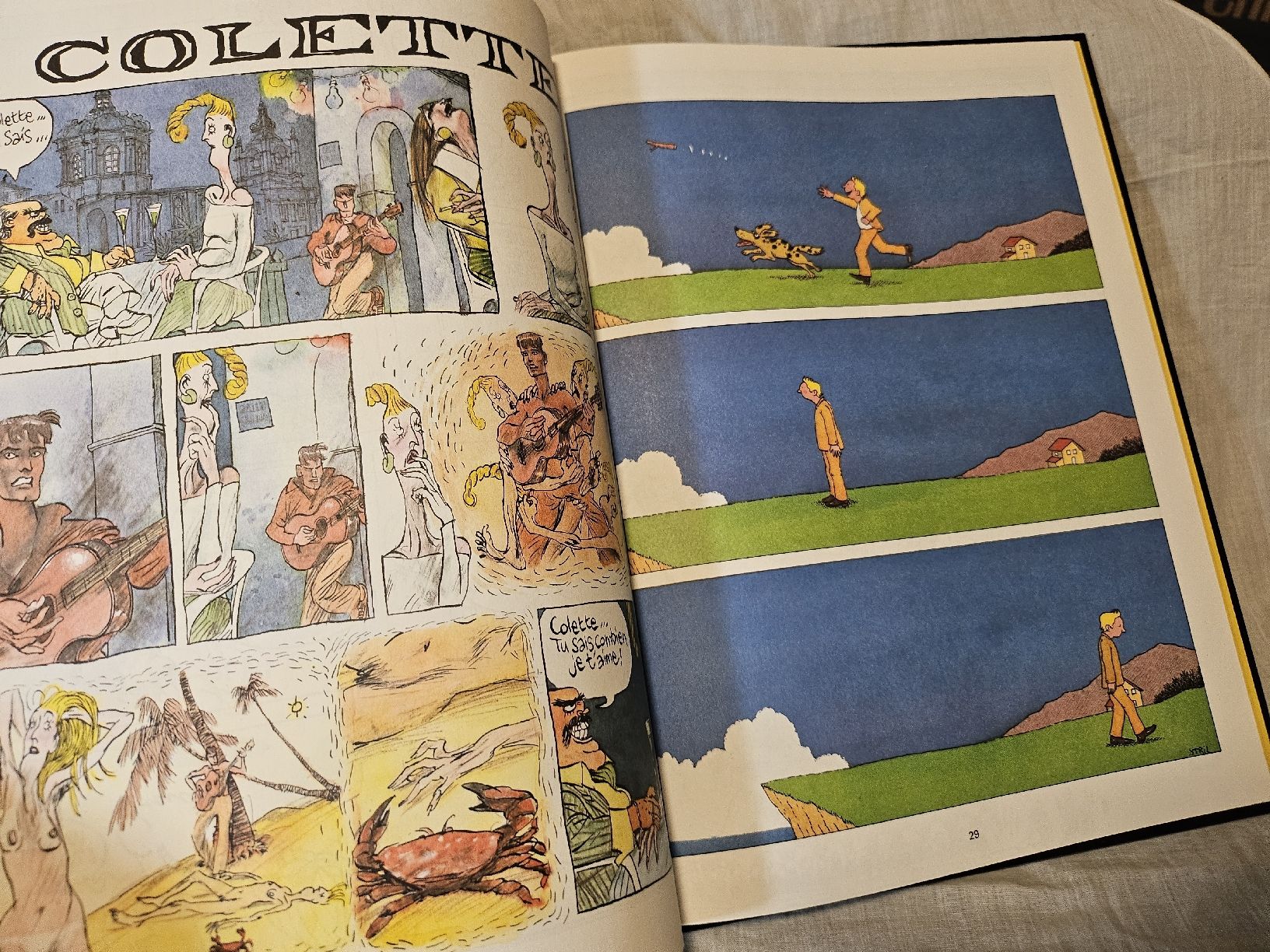 Fumetti: Fluide Glacial: "Sous le signe du Verso" – Usato da La Joux FR venduto da car_ck96 1