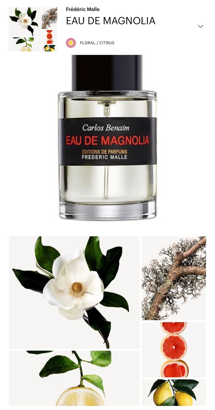 Frédéric Malle Profumi & Eau de Toilette: Frederic Malle EAU DE MAGNOLIA 50 ml – Usato da Täuffelen venduto da RoyaltyBrown 1