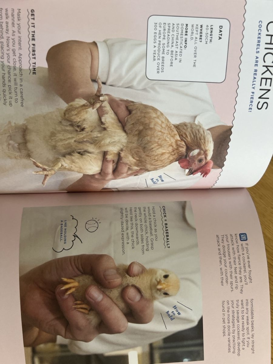 Libri: "How to Hold Animals" Buch – Nuovo (secondo la descrizione) da Basel venduto da clembou 2