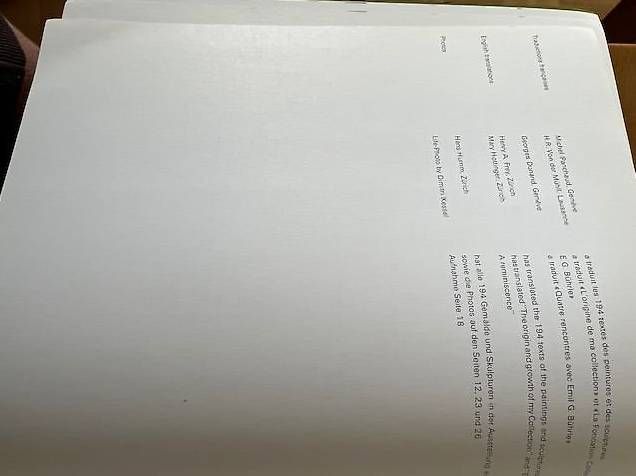 Libri: Sammlung Meisterwerke Bührle – Usato da Zürich venduto da senta06 3