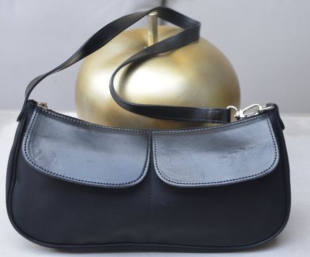 Tasche / Sac Longchamp
