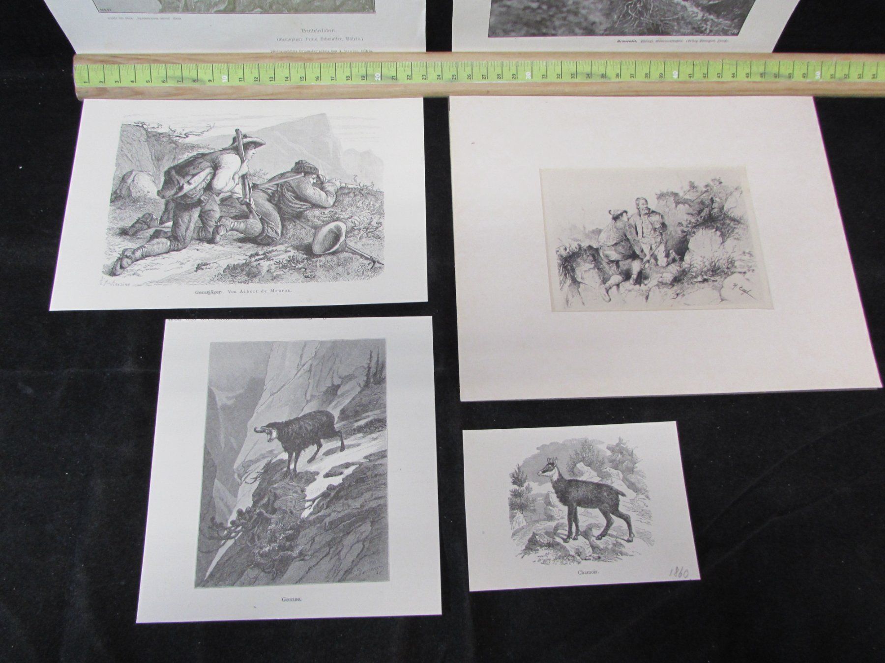 Gravures: Jagdt, Gemsen, 19.Jh. – D'occasion à Walchwil par Shells1