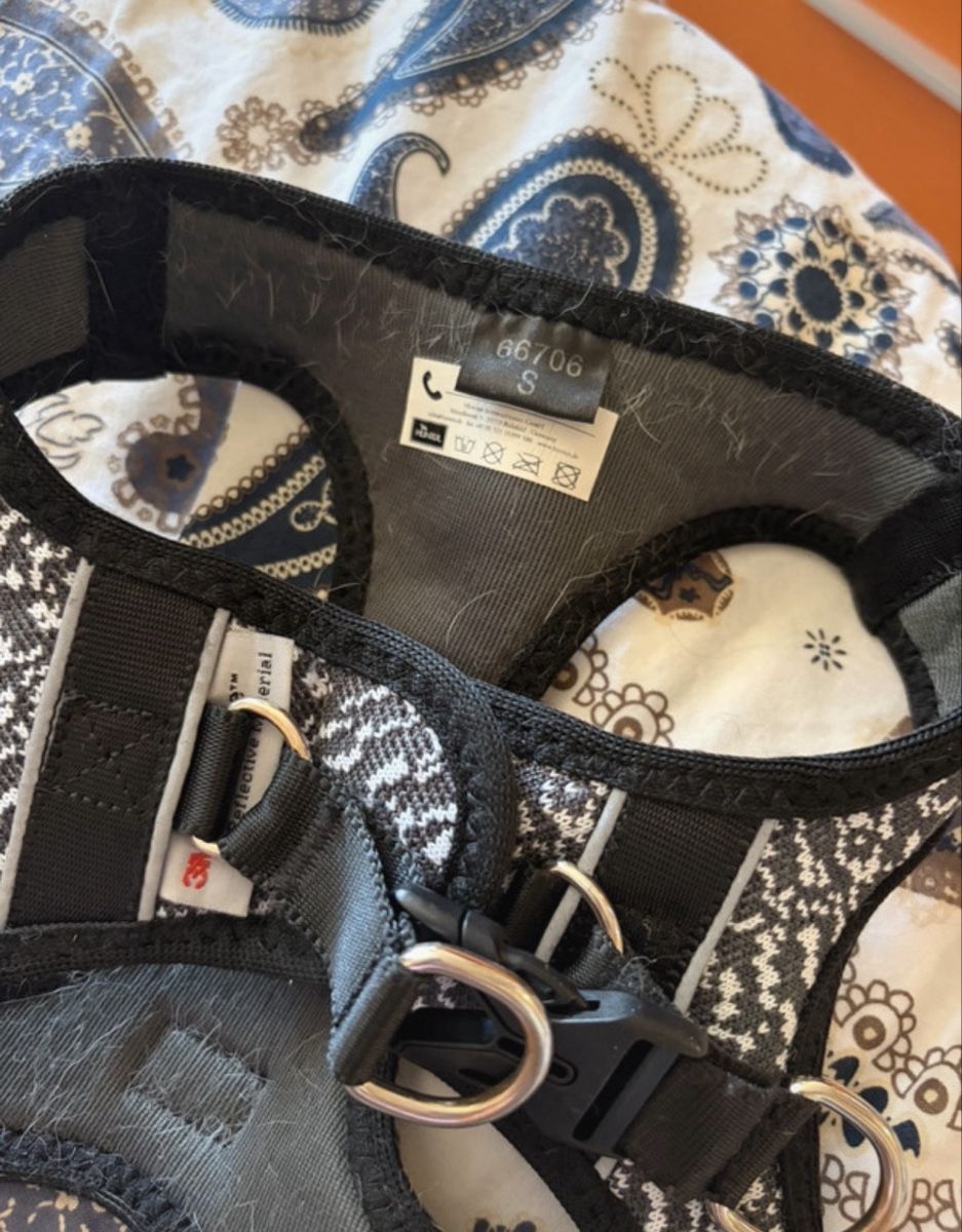 Hunter Leine & Halsband: Hunter Hundegeschirr Gr.S  – Gebraucht aus Basel von Brunner.T 1