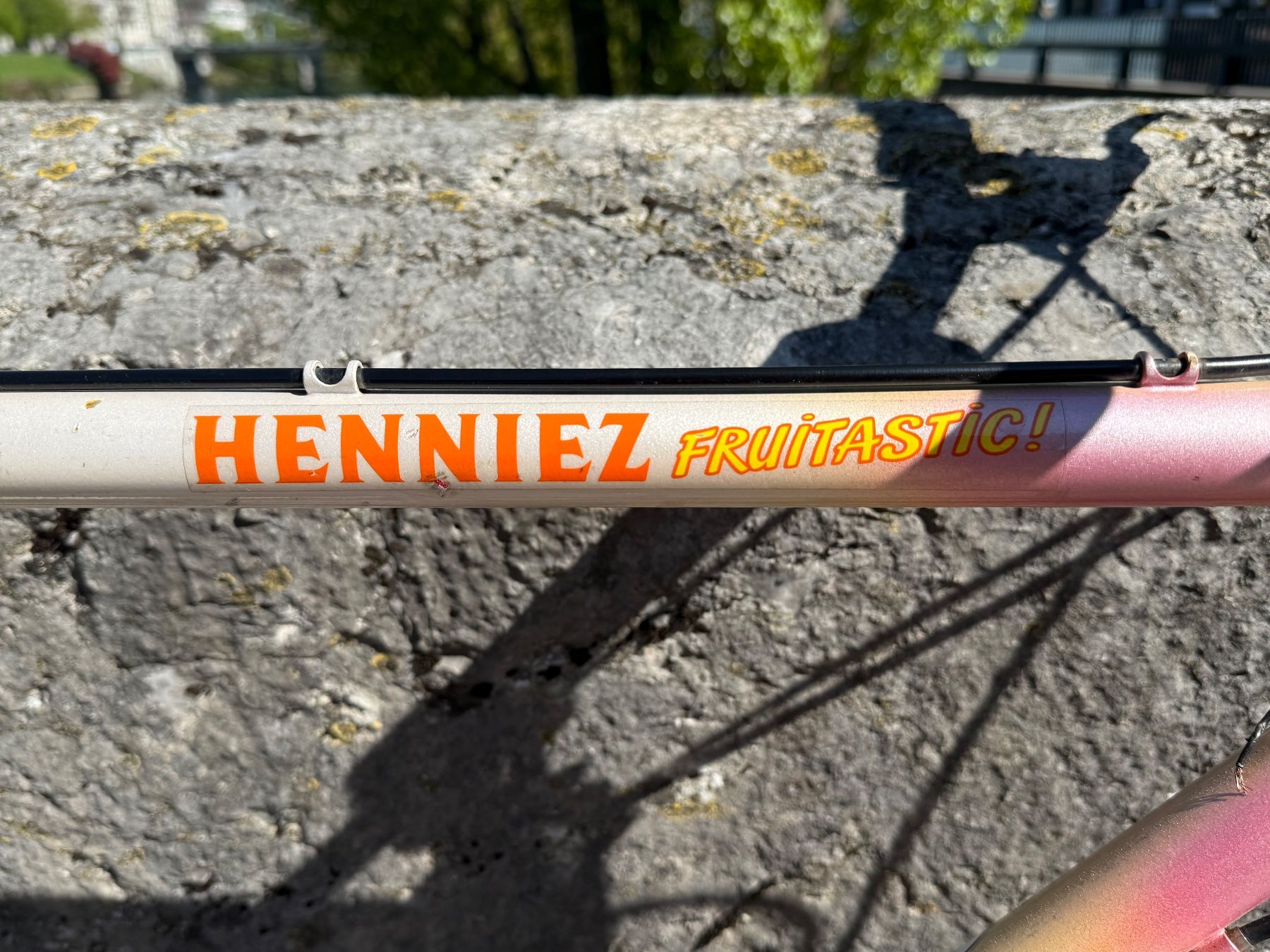 Cilo Biciclette: Cilo Henniez Mountain Bike / MTB – Usato da Zürich venduto da Sfass 5