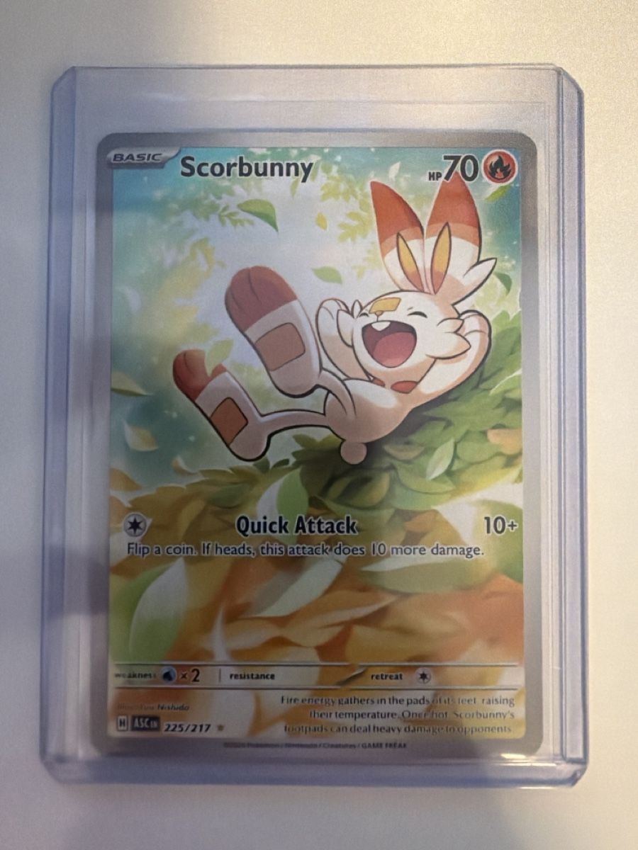 Pokémon Carte collezionabili: Pokemon Scorbunny – Nuovo (secondo la descrizione) da Winterthur venduto da stipooo97